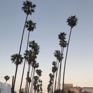 Meet your Posher, Adam